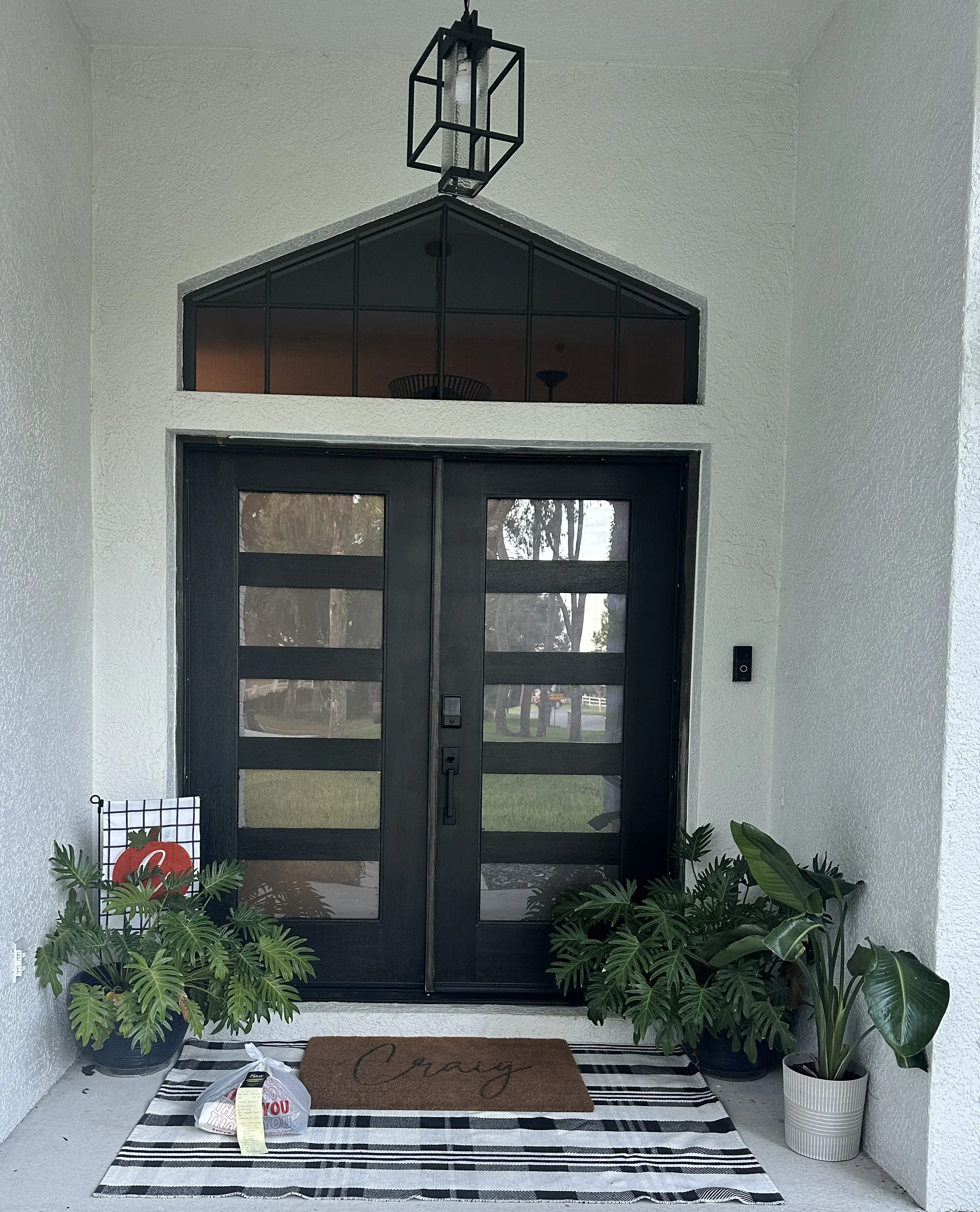 Exterior door project 2